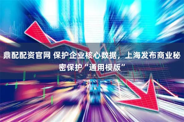 鼎配配资官网 保护企业核心数据，上海发布商业秘密保护“通用模版”