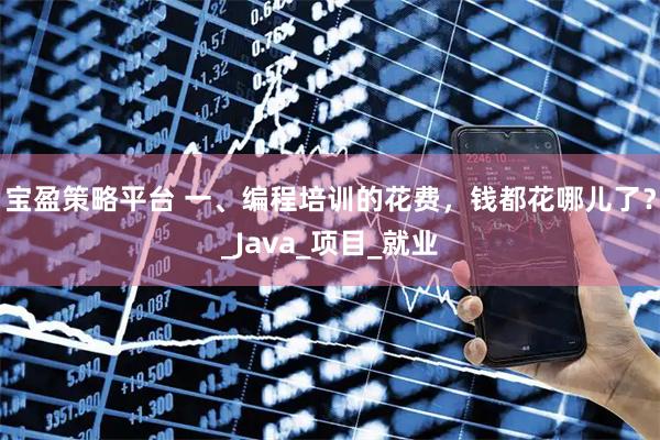 宝盈策略平台 一、编程培训的花费，钱都花哪儿了？_Java_项目_就业