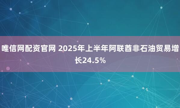 唯信网配资官网 2025年上半年阿联酋非石油贸易增长24.5%